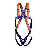 ARNES 2 PONTOS ANCOR (FRONTAL/DORSAL) P36